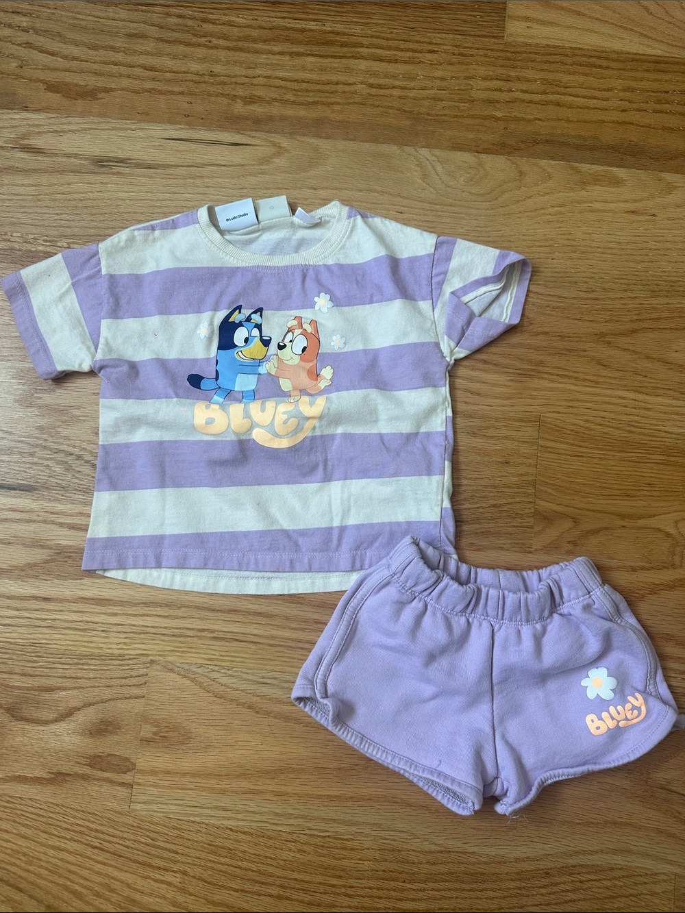 Zara Lavender and Cream Striped Bluey Tee with Lavender Shorts